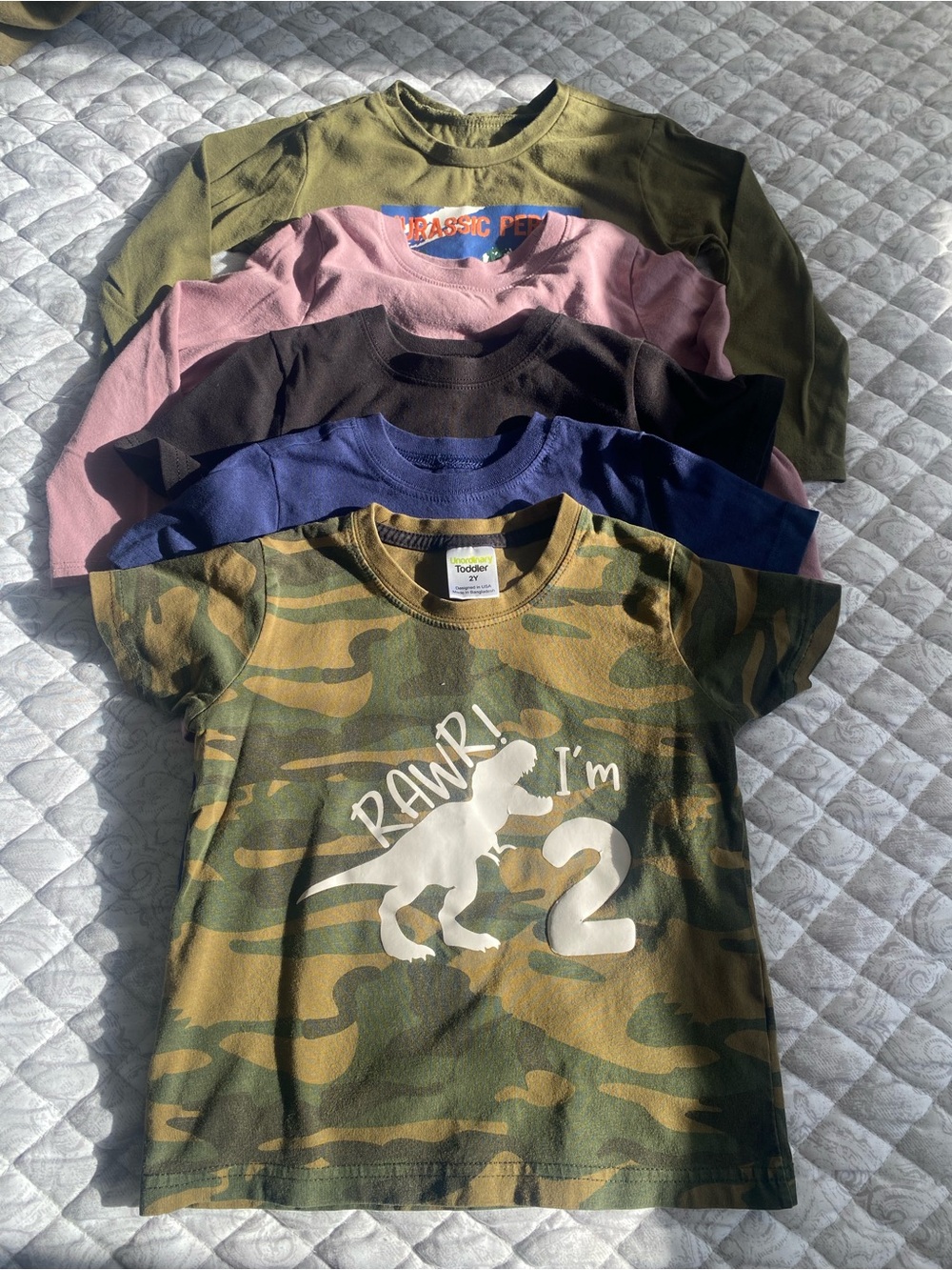 Lot of 5 dinosaur tees